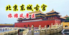 c护士的嫩b视频网站中国北京-东城古宫旅游风景区